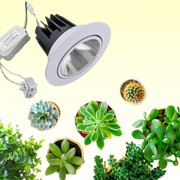 20W植物燈-全光譜9公分投射崁燈